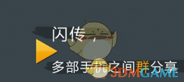 昆明的花太考验个人素质了